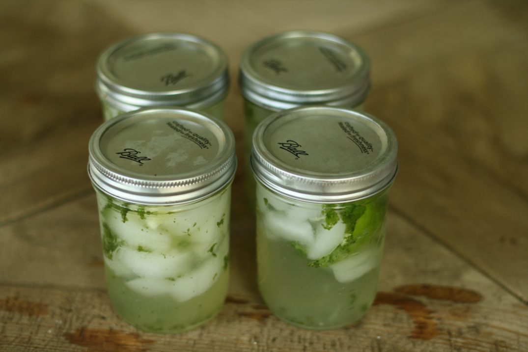 Mojito Recipe