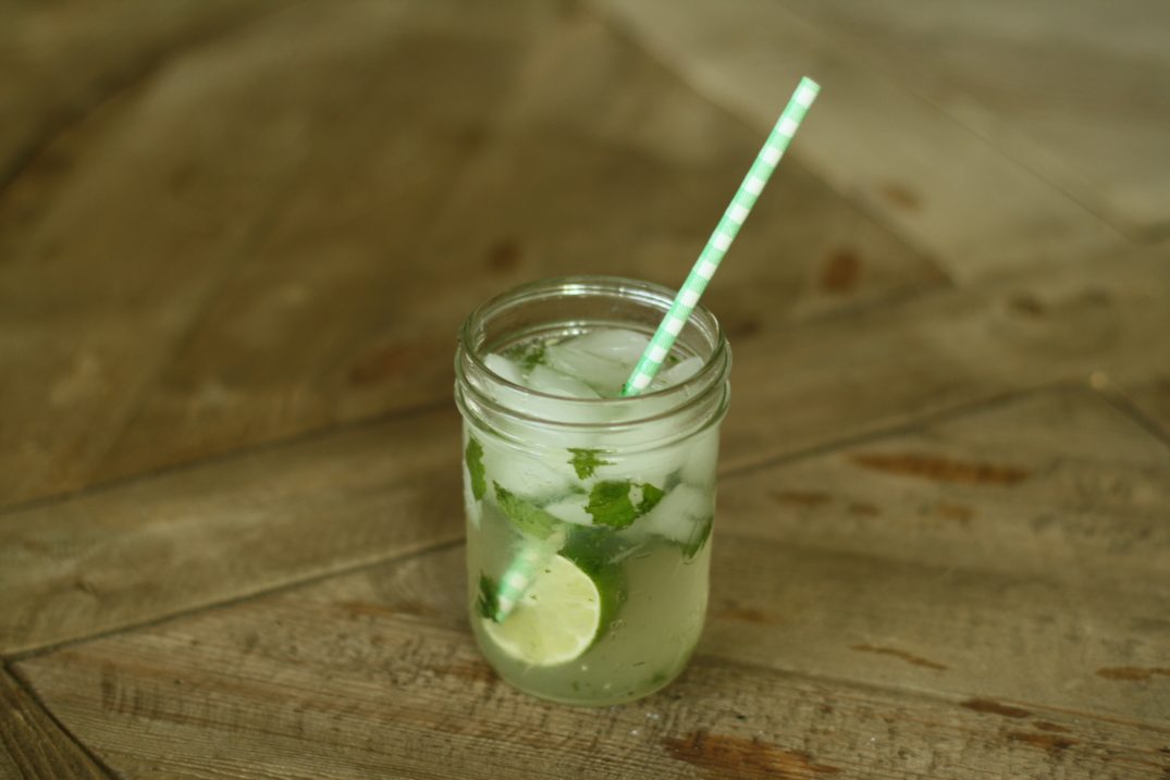 Mojito Recipe