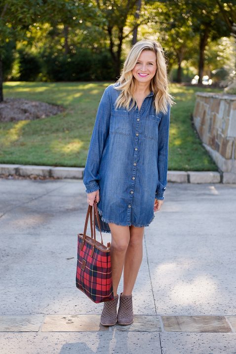 fancy-ashley-denim-dress-holiday-bag-14