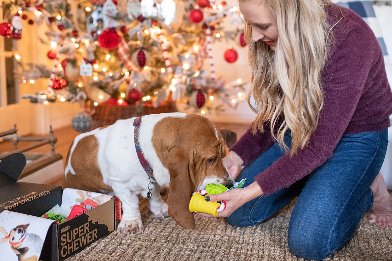 Bark Box Super Chewer Box featured by top Houston lifestyle blog, Fancy Ashley