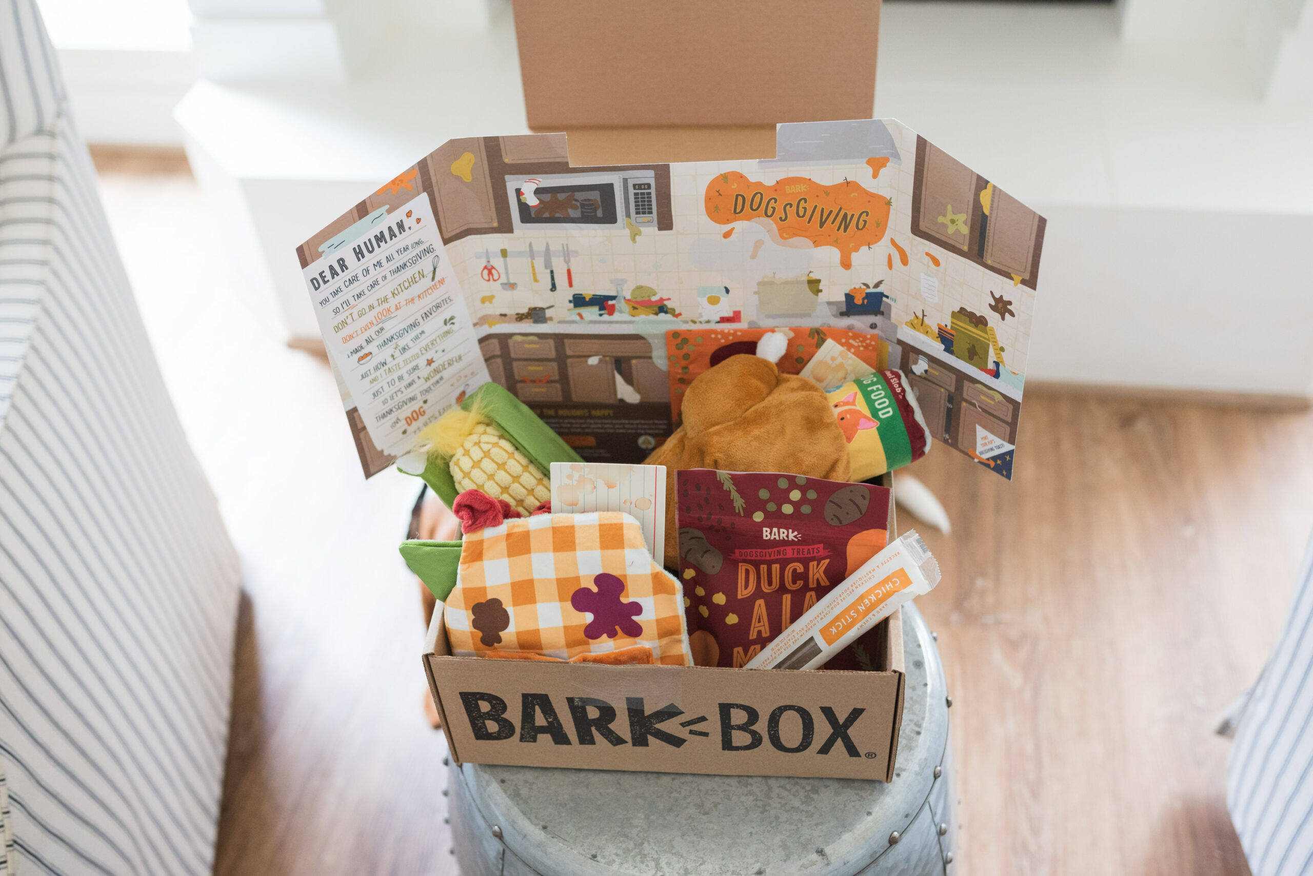 Barkbox Toys by popular Houston lifestyle blog, Fancy Ashley: image of a Barkbox filled with toys and treats. 