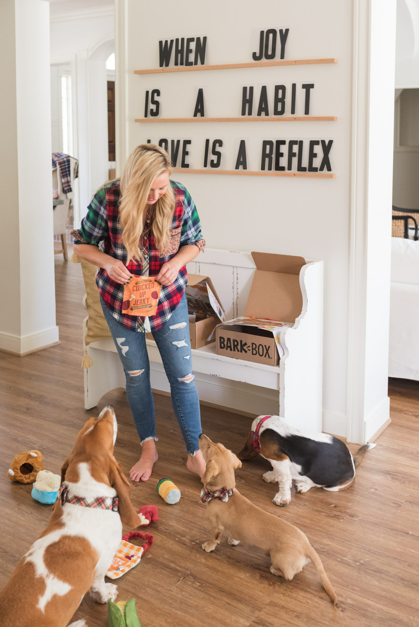 Barkbox Toys by popular Houston lifestyle blog, Fancy Ashley: image of a woman giving her dogs some Barkbox treats. 