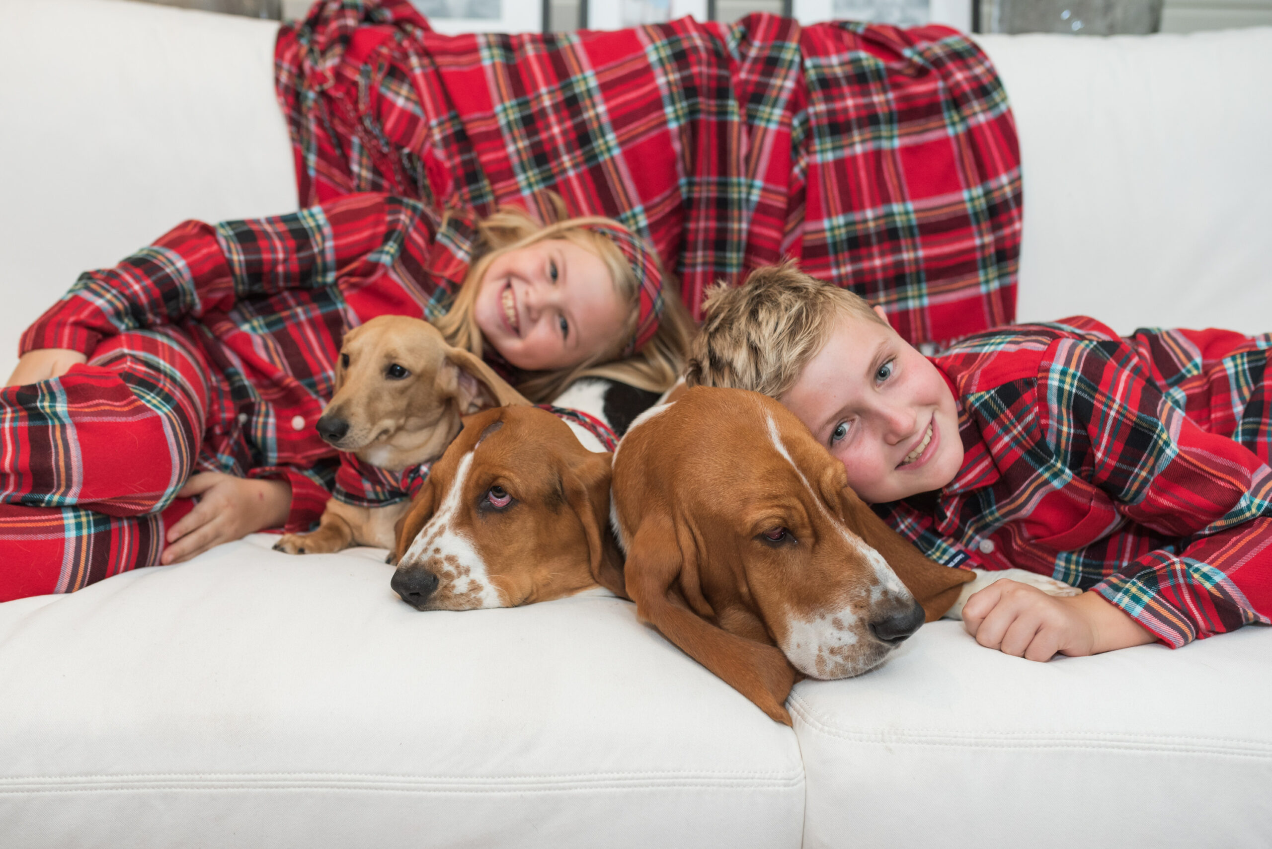 Family Christmas Pajamas by popular Houston fashion blog, Fancy Ashley: image of two kids wearing matching red plaid flannel pajamas from Land's End and sitting on a white couch with their three dogs. 