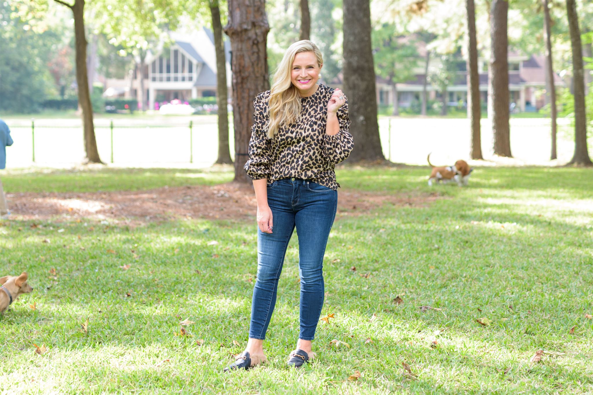 Cute Fall Outfits by popular Houston fashion blog, Fancy Ashley: image of a woman wearing a leopard top, jeans, and faux fur lined black mules. 