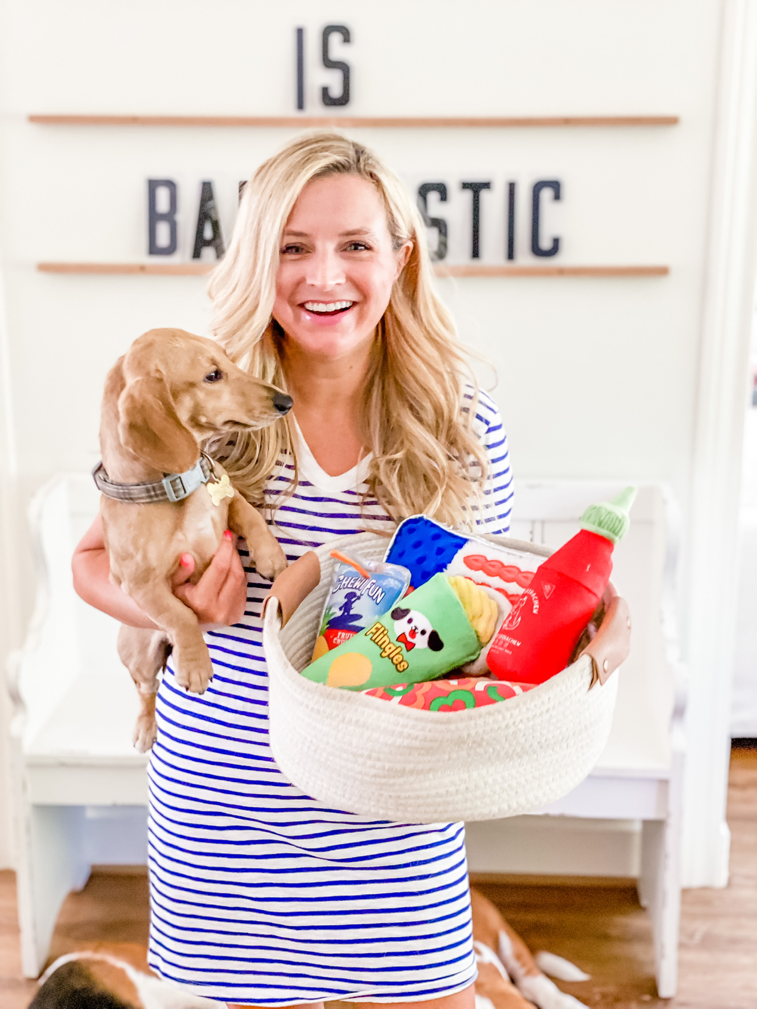 Target Dog Toys by popular Houston lifestyle blog, The House of Fancy: image of a woman wearing a blue and white stripe t-shirt dress and holding her puppy and white woven basket filled with dog toys. 